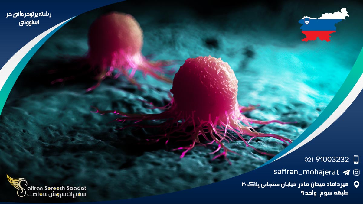 رشته پرتودرمانی در اسلوونی