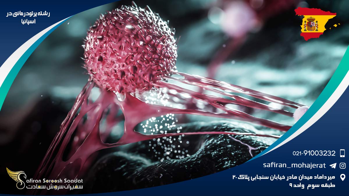 رشته پرتودرمانی در اسپانیا