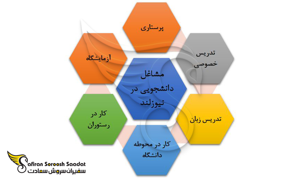 انواع مشاغل دانشجویی در نیوزلند