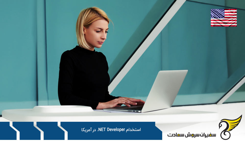 آمریکا بهشت کار .NET Developer ها
