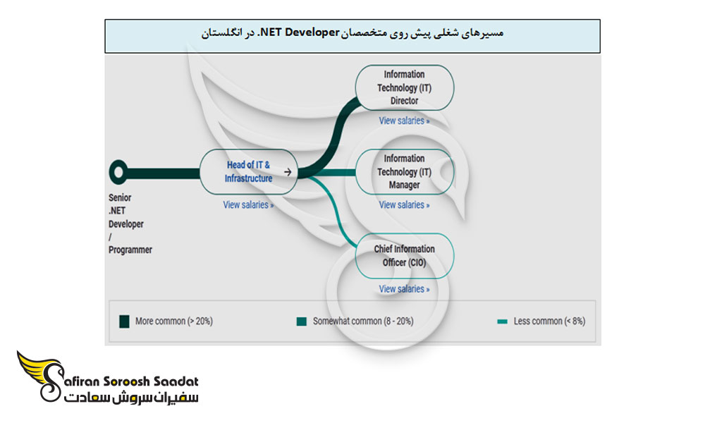 مسیرهای شغلی پیش روی متخصصان NET Developer. در انگلستان