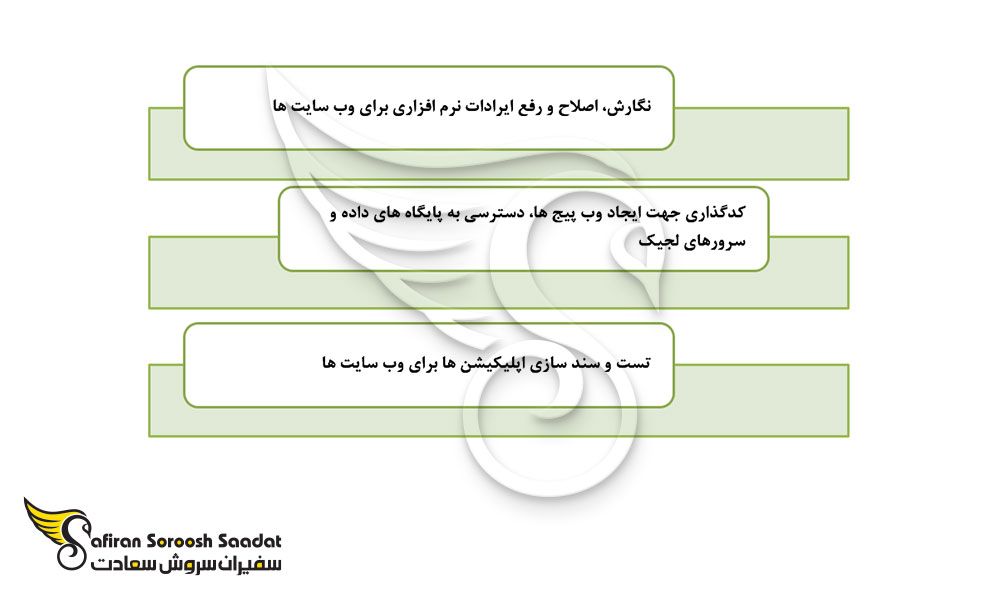 وظایف و مسئولیت های متخصص NET Developer. در سوئیس