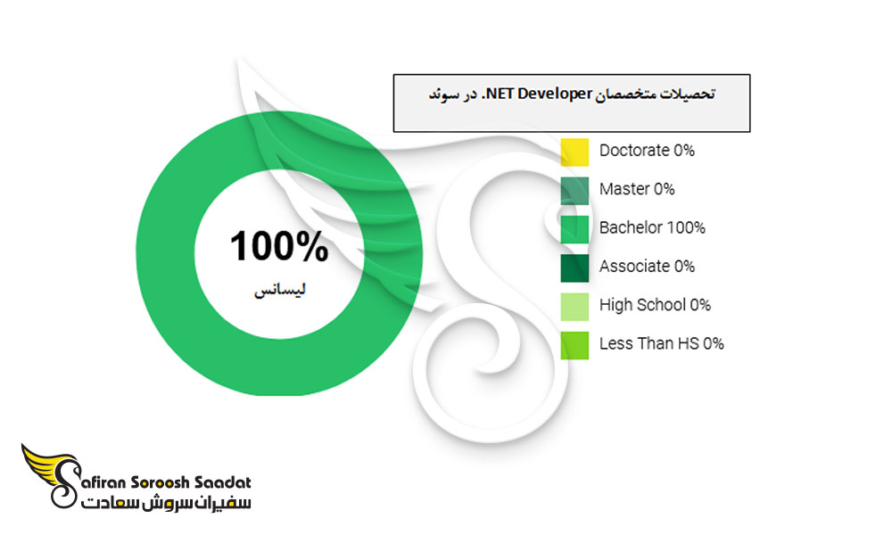 تحصیلات متخصصان NET Developer. در سوئد