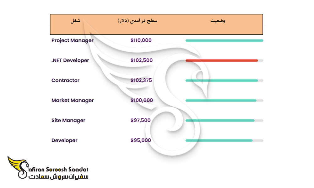 وضعیت درآمدی رشته .NET Developer در نیوزلند