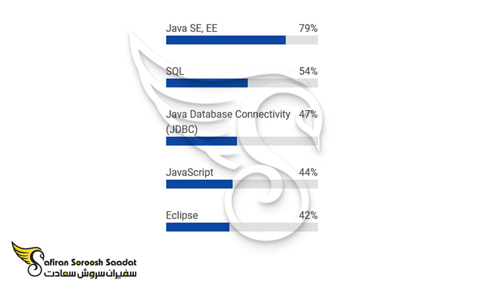 مهارت متخصصان Java Developer در هلند