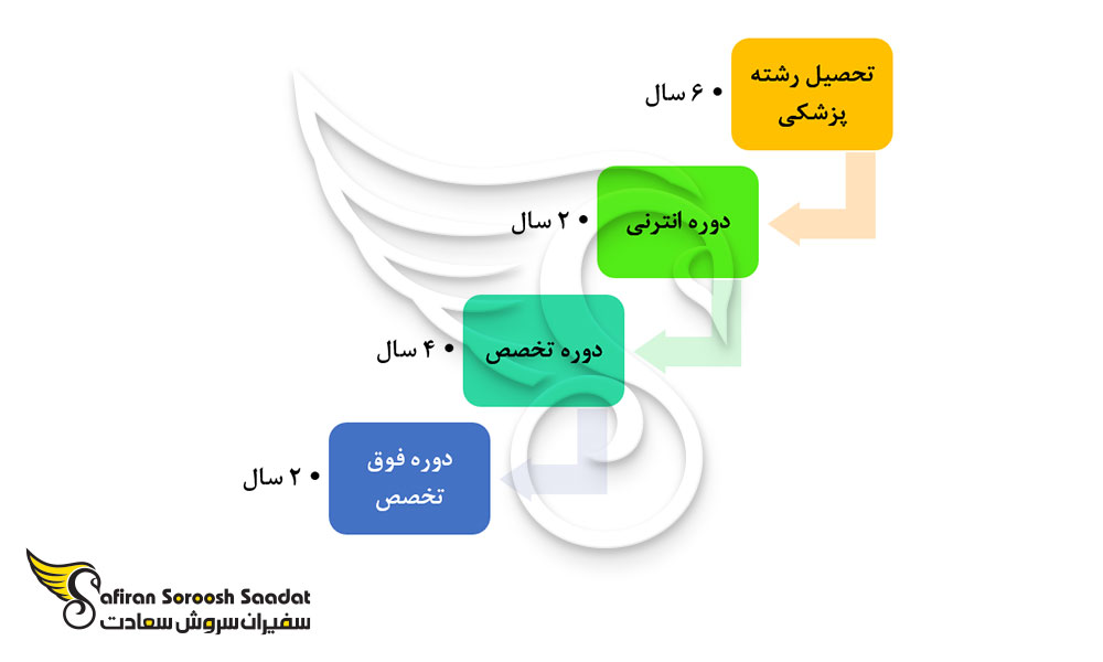 فرایند تحصیل رشته طب ورزشی در مجارستان