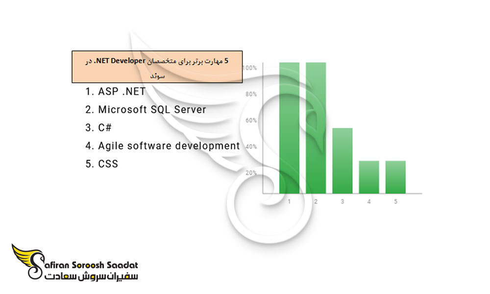 5 مهارت برتر برای متخصصان NET Developer. در سوئد
