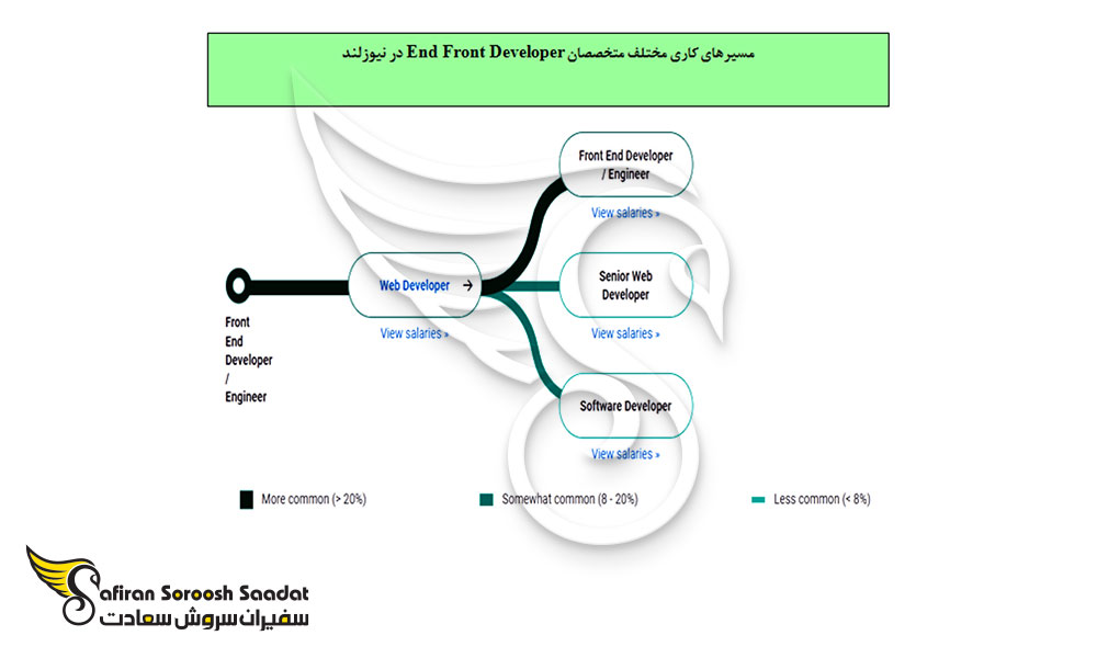 مسیرهای کاری مختلف متخصصان Front End Developer در نیوزلند