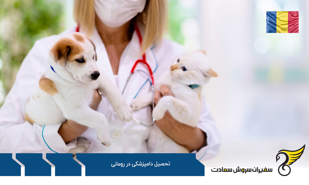 آشنایی با تحصیل رشته دامپزشکی در رومانی و شرایط آن