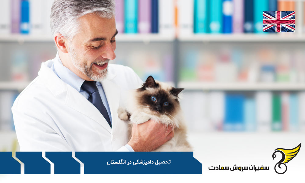 شرایط تحصیل رشته دامپزشکی در انگلستان