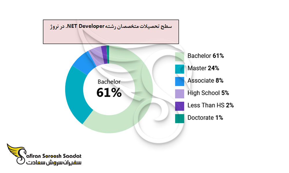 سطح تحصیلات متخصصان NET Developer. در نروژ