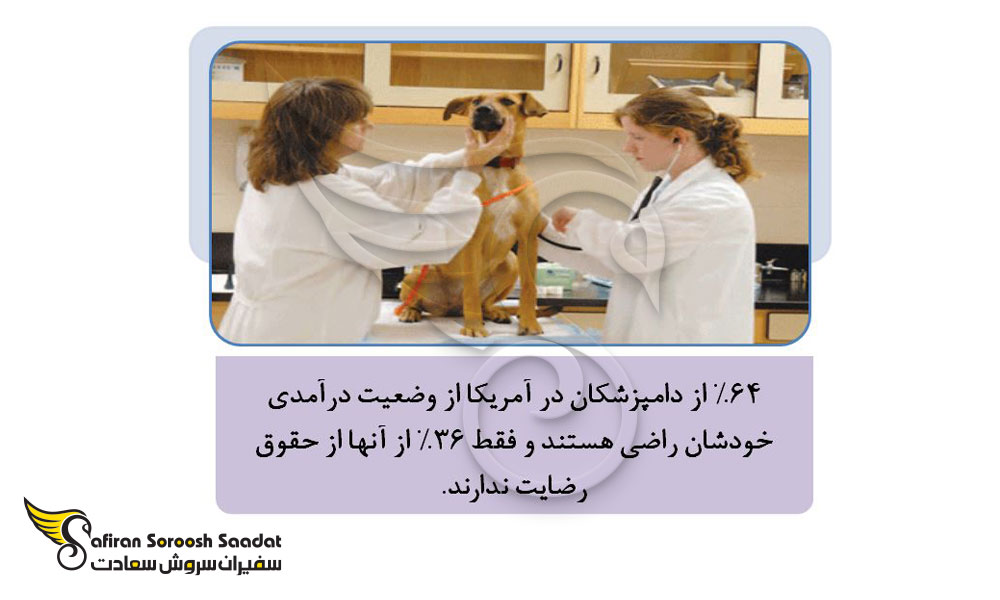 وضعیت درآمدی دامپزشکی در آمریکا