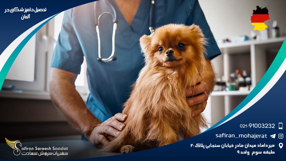 رشته دامپزشکی در آلمان