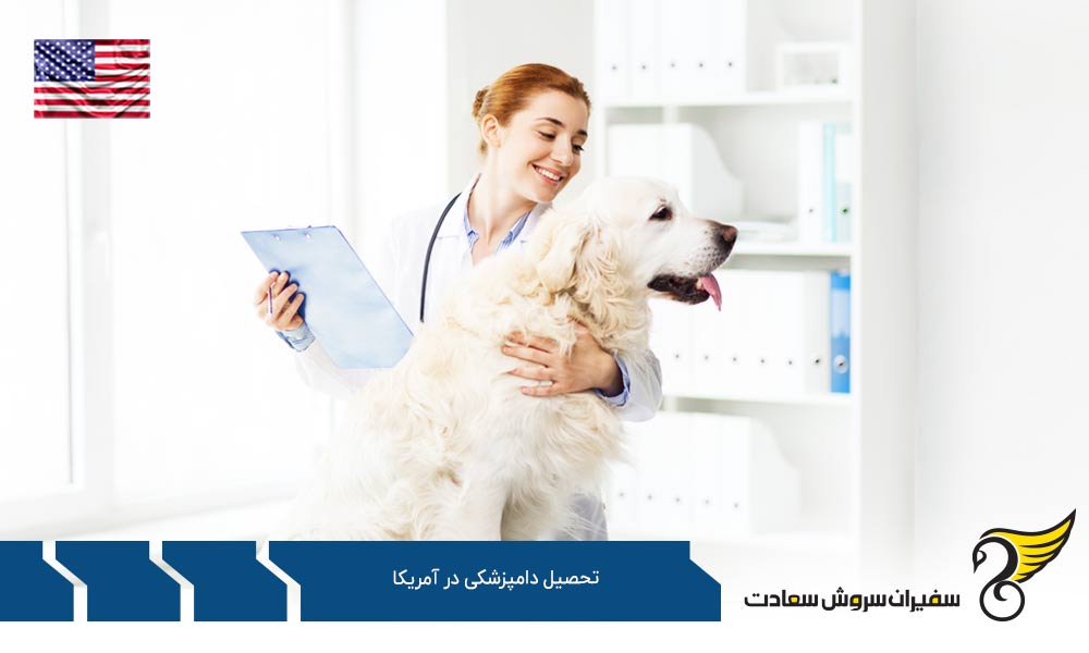 هزینه تحصیل رشته دامپزشکی در آمریکا