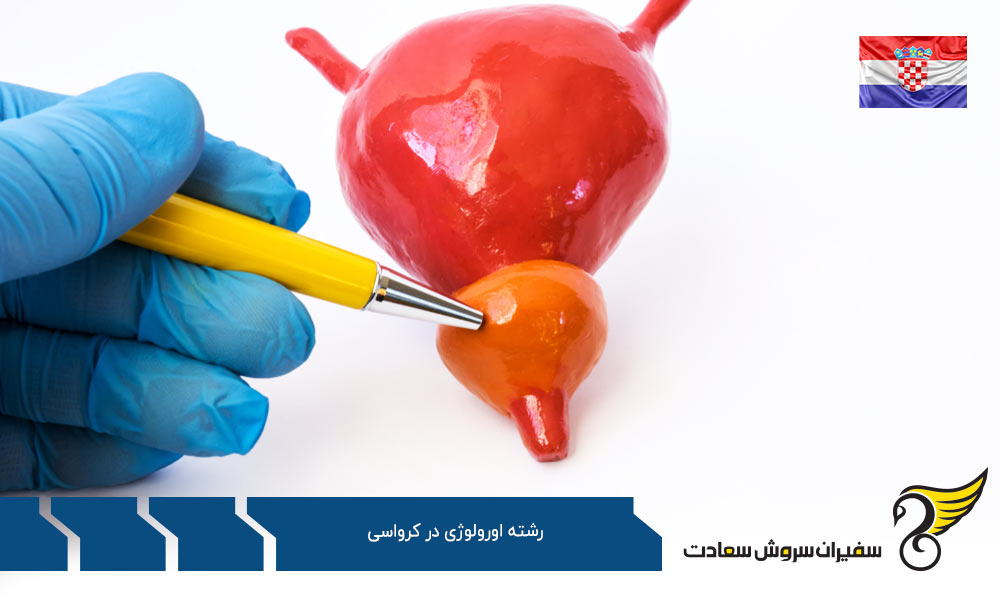 شرایط تحصیل رشته اورولوژی در کرواسی