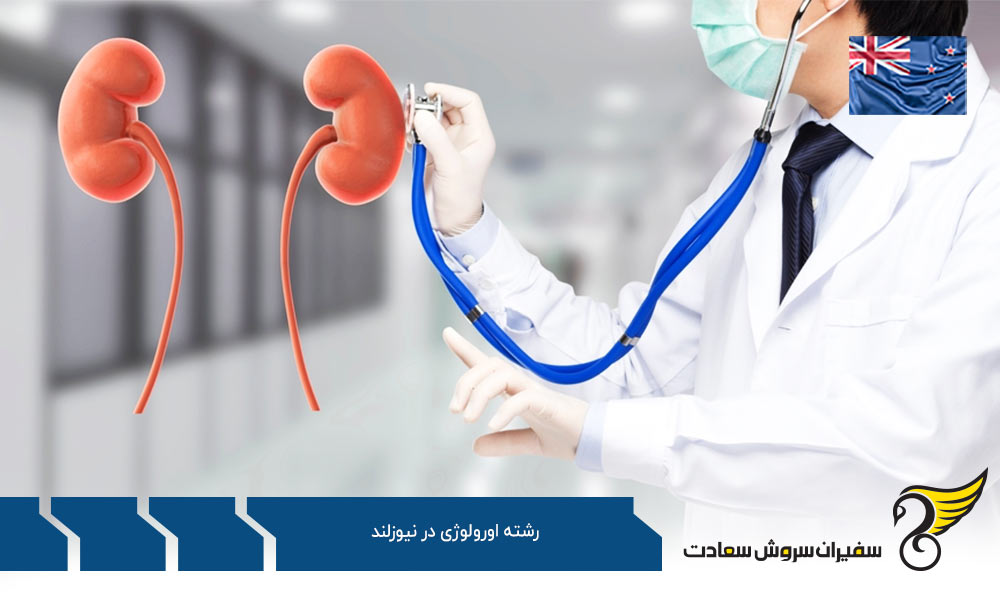 شرایط تحصیل رشته اورولوژی در نیوزلند