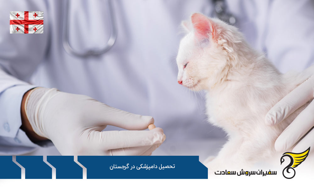 شرایط تحصیل رشته دامپزشکی در گرجستان