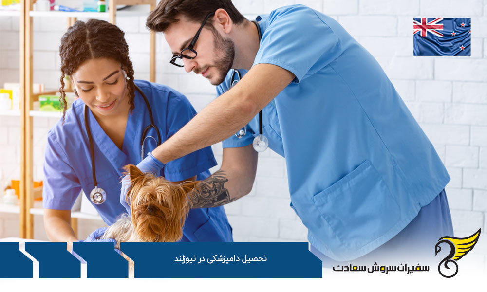 شرایط تحصیل رشته دامپزشکی در نیوزلند