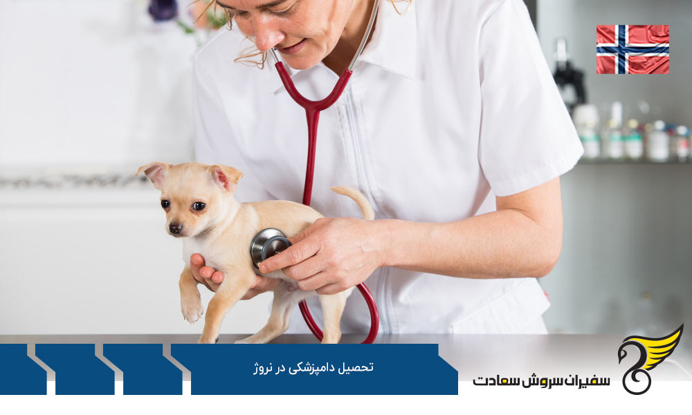 شرایط تحصیل رشته دامپزشکی در نروژ