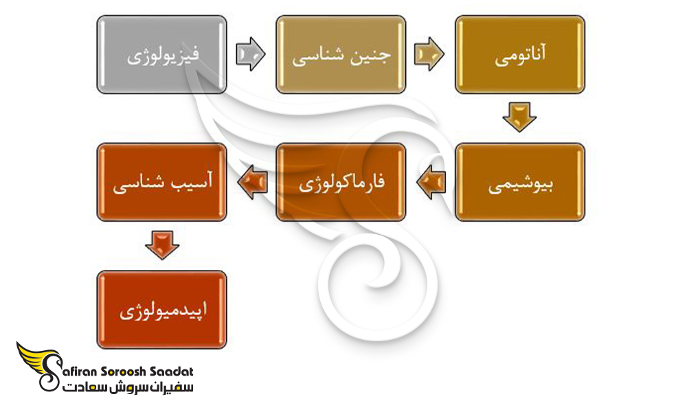 موضوعات اساسی اورولوژیست در اسکاتلند