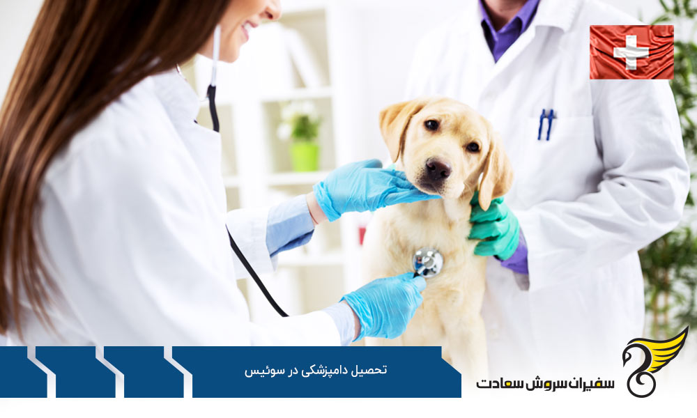 بررسی شرایط تحصیل رشته دامپزشکی در سوئیس