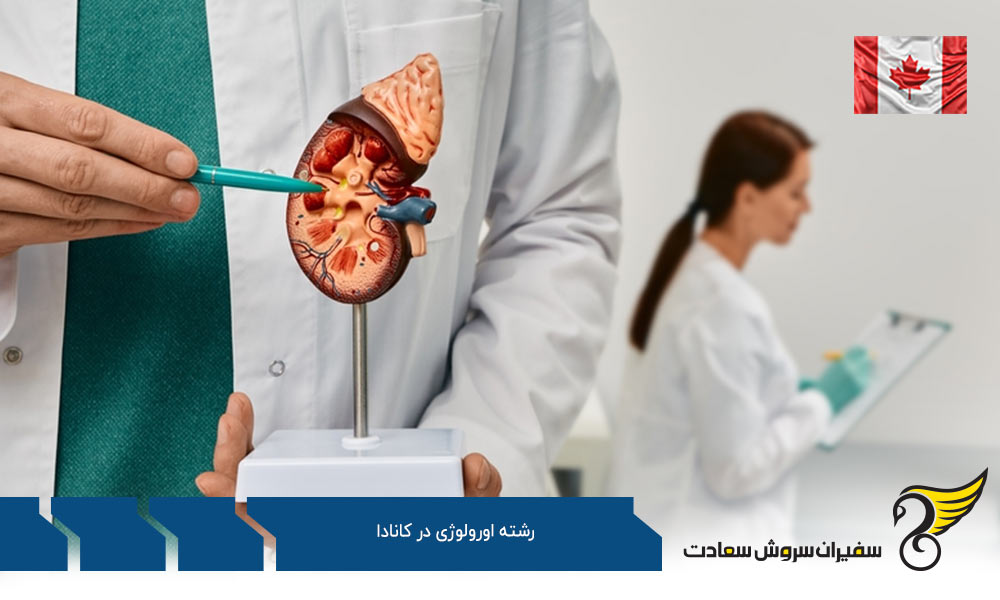 پیش نیازهای تحصیلات تکمیلی اورولوژی در کانادا