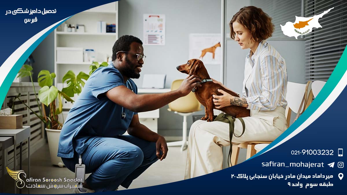 رشته دامپزشکی در قبرس