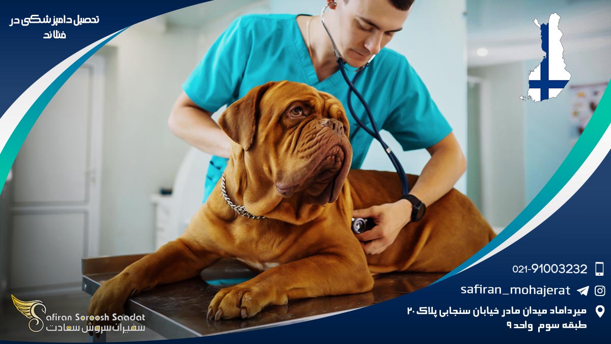 رشته دامپزشکی در فنلاند