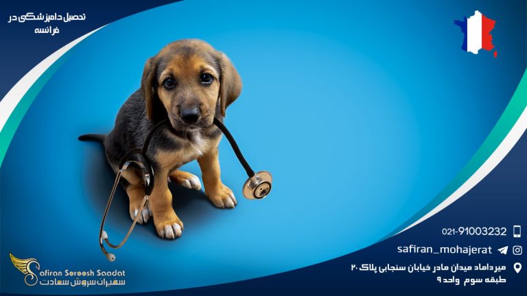 رشته دامپزشکی در فرانسه