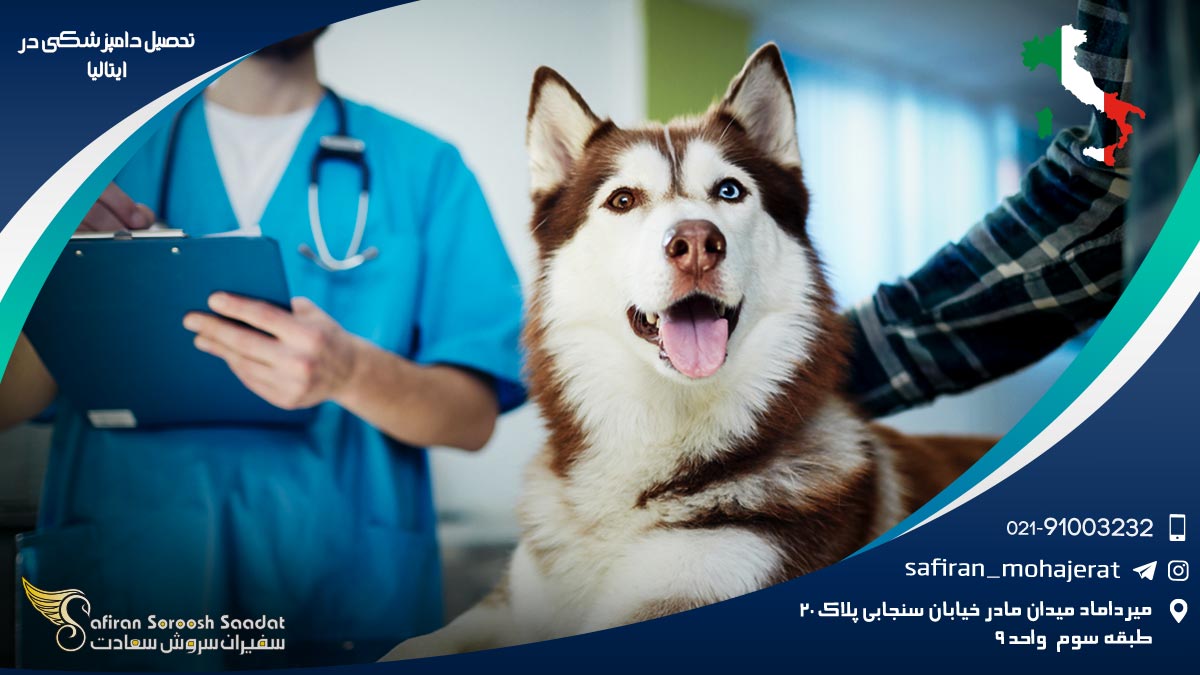 رشته دامپزشکی در ایتالیا
