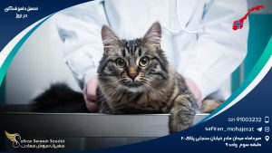 رشته دامپزشکی در نروژ