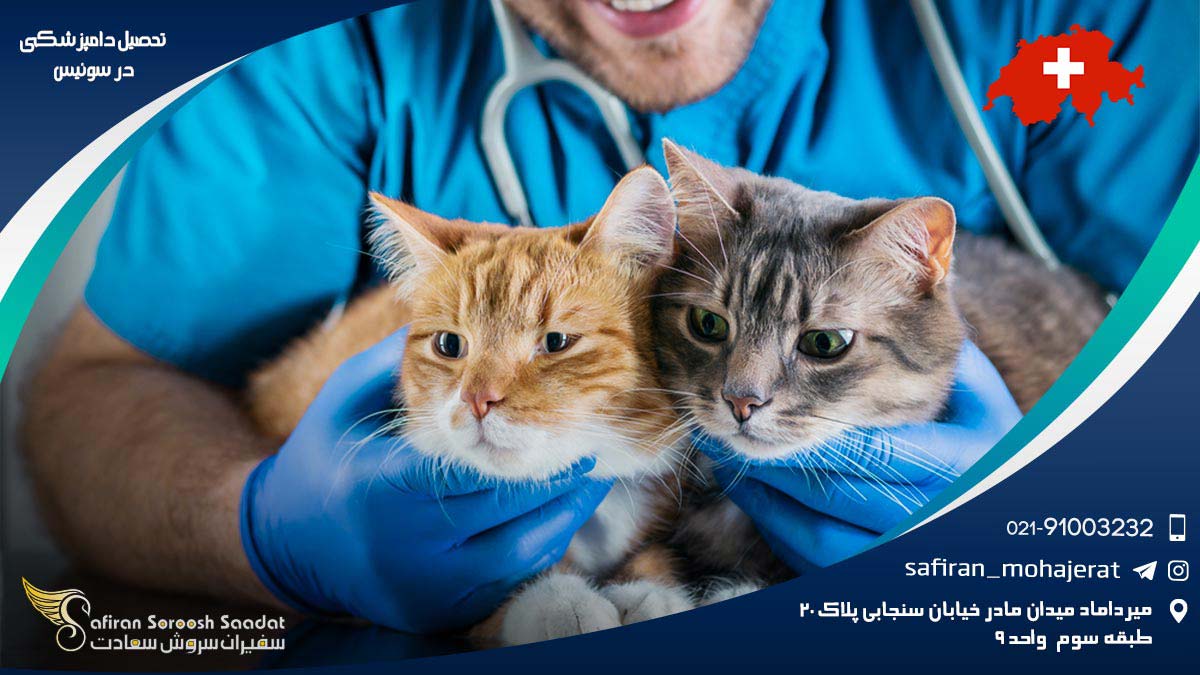 رشته دامپزشکی در سوئیس