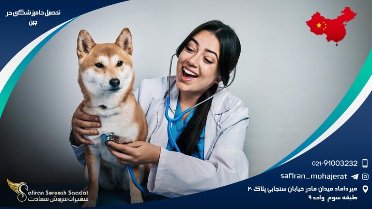 رشته دامپزشکی در چین