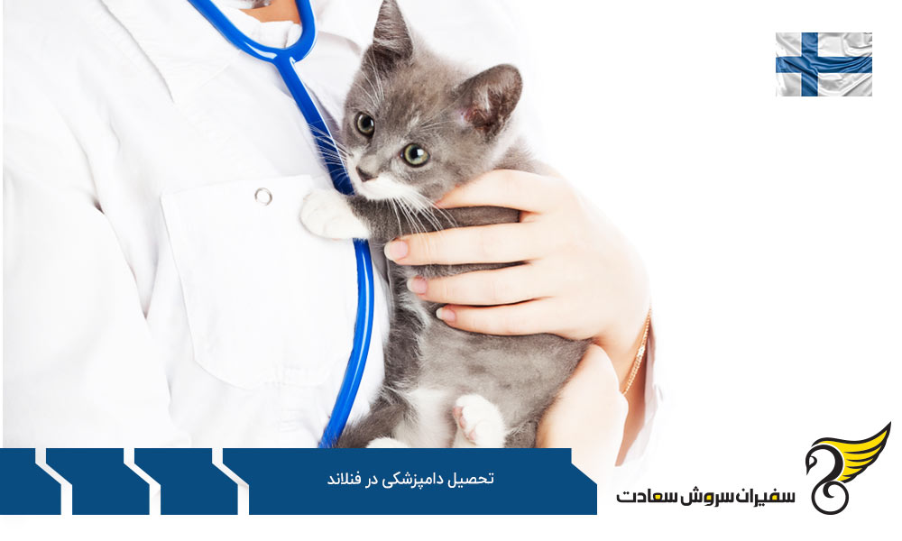 هزینه تحصیل رشته دامپزشکی در فنلاند