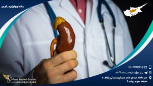 رشته اورولوژی در قبرس