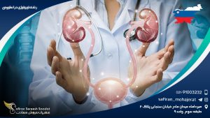 رشته اورولوژی در اسلوونی