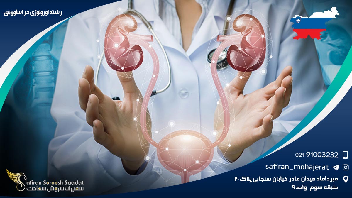 رشته اورولوژی در اسلوونی