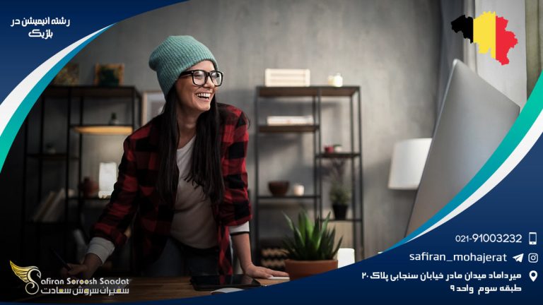 رشته انیمیشن در بلژیک