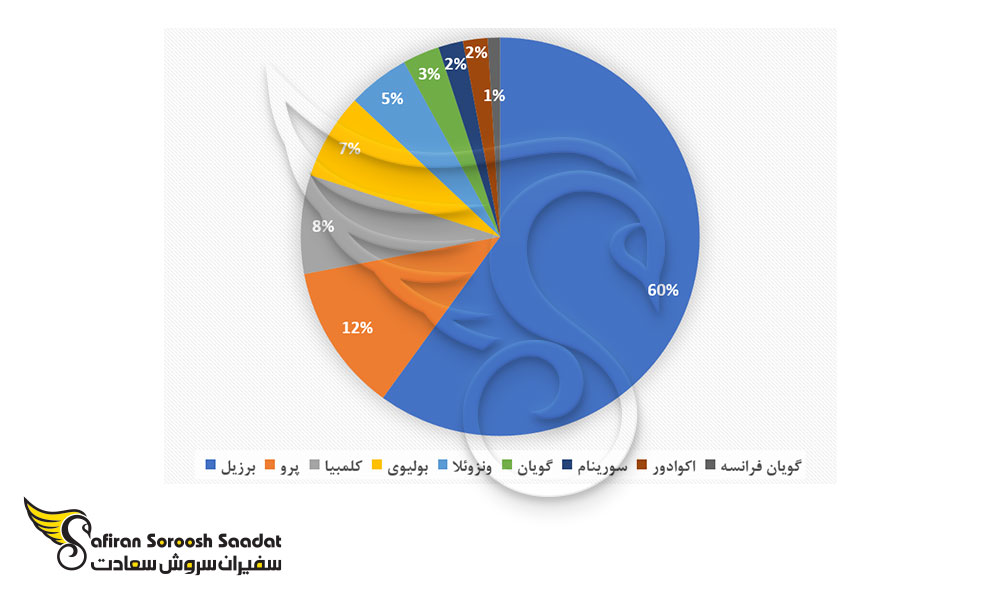 تقسیم جنگل های آمازون براساس کشور