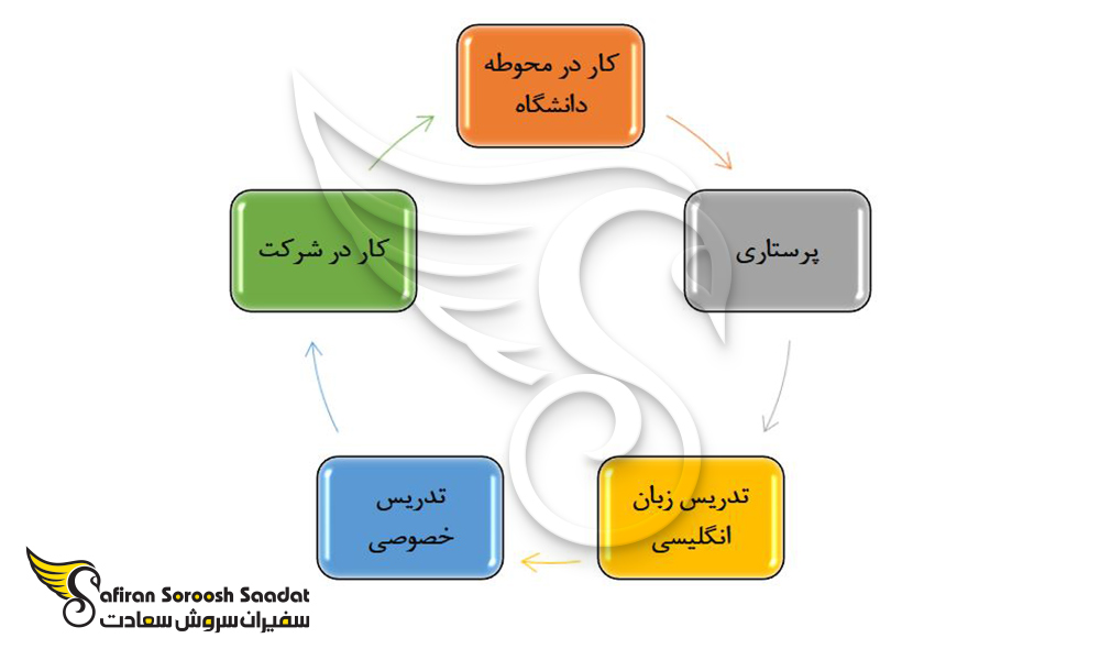 محبوب ترین مشاغل دانشجویی در بلغارستان را از دیدگاه دانشجویان بین المللی