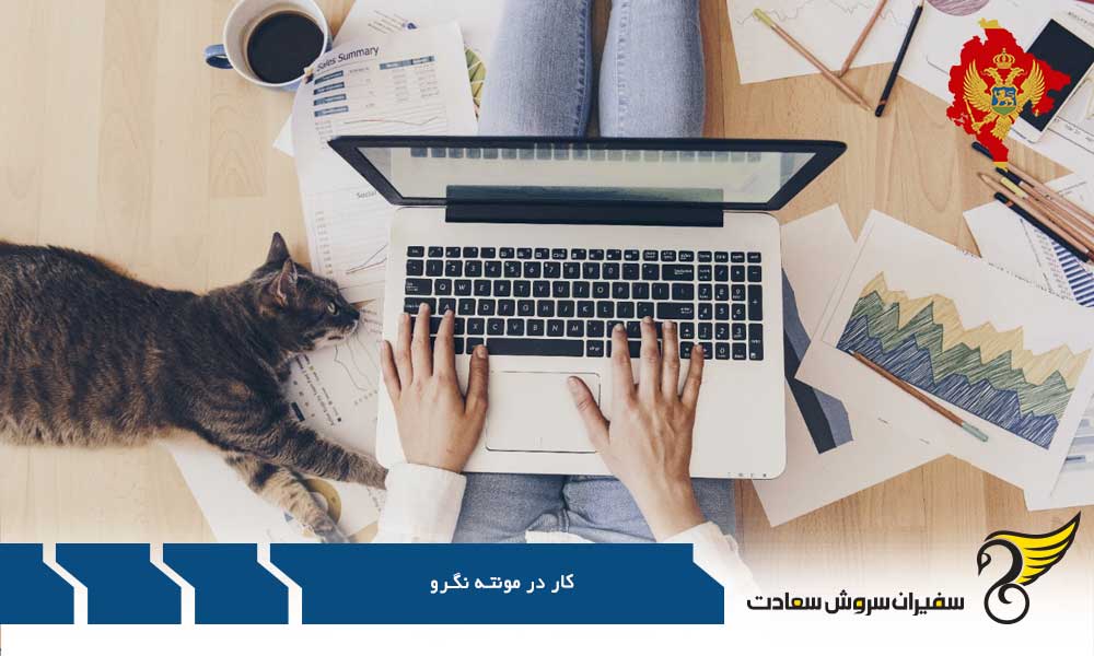 فرایند رسیدن به کار در مونته نگرو