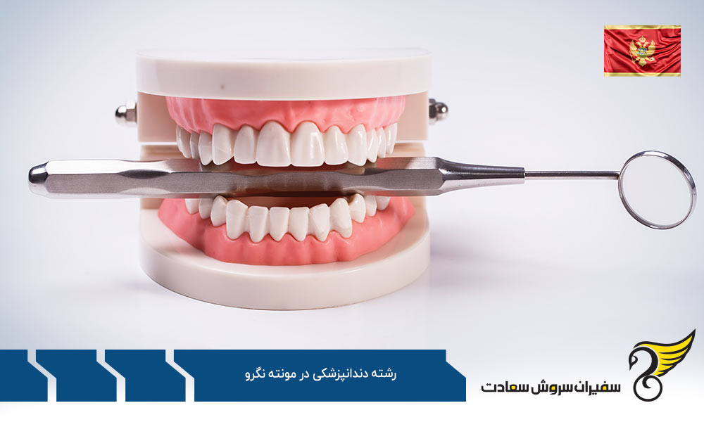 شرایط تحصیل رشته دندانپزشکی در مونته نگرو