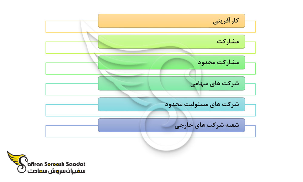 انواع شرکت ها برای ثبت در مونته نگرو