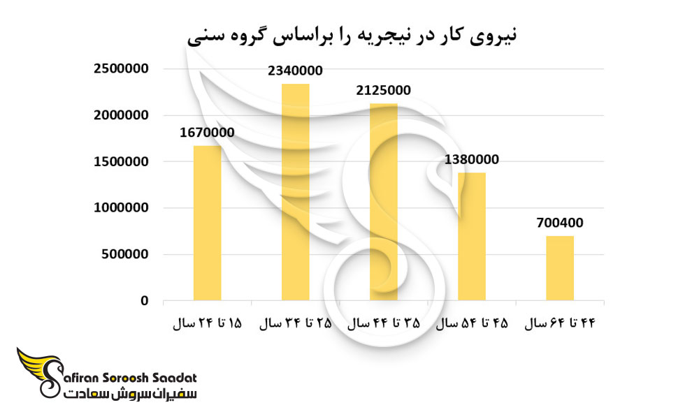 نیروی کار در نیجریه بر اساس گروه سنی