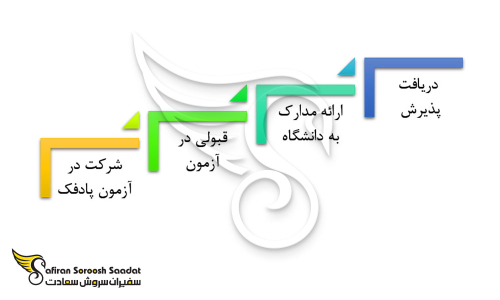 پروسه تحصیل رشته عکاسی در روسیه