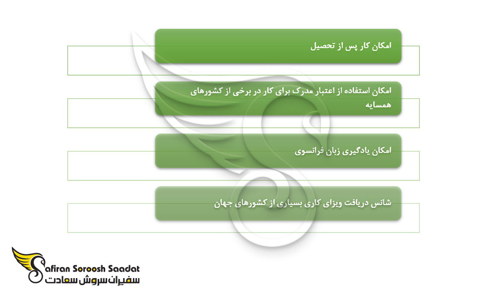 مزایای دریافت ویزای تحصیلی الجزایر