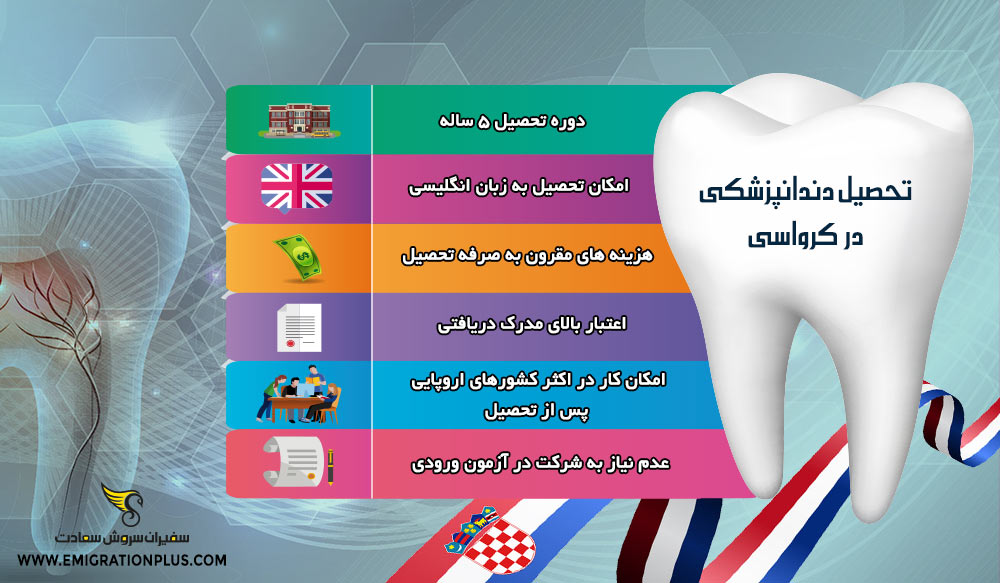 اینفوگرافیک رشته دندانپزشکی در کرواسی