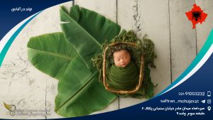 تولد در آلبانی