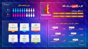 کار در کامرون