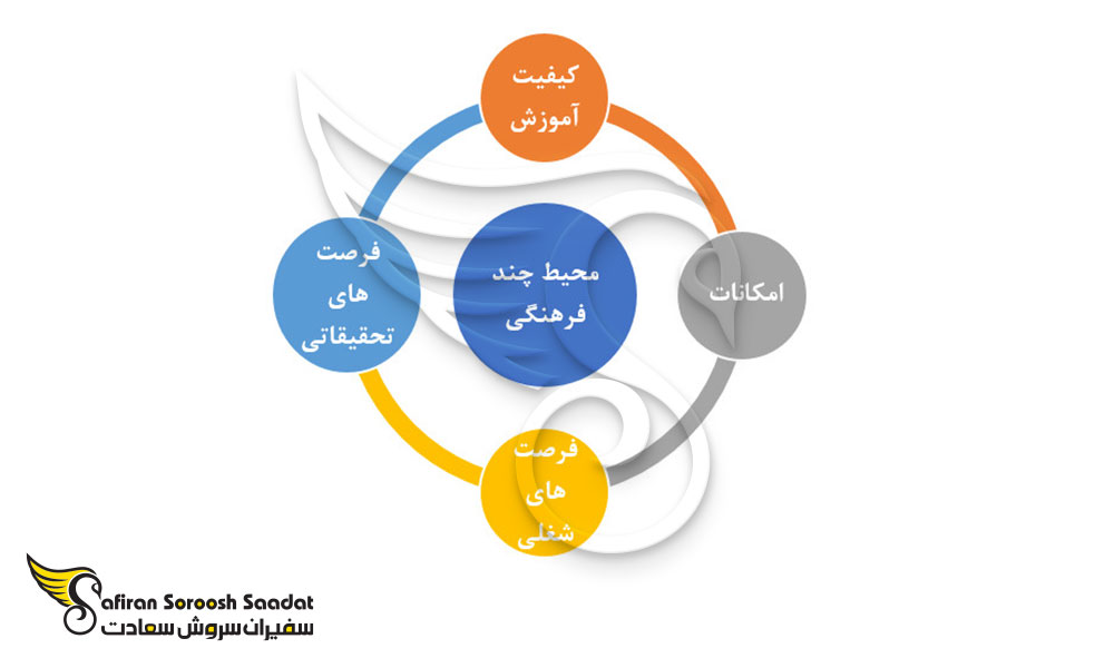 مزایا تحصیل دندانپزشکی فنلاند به جای کیپ ورد